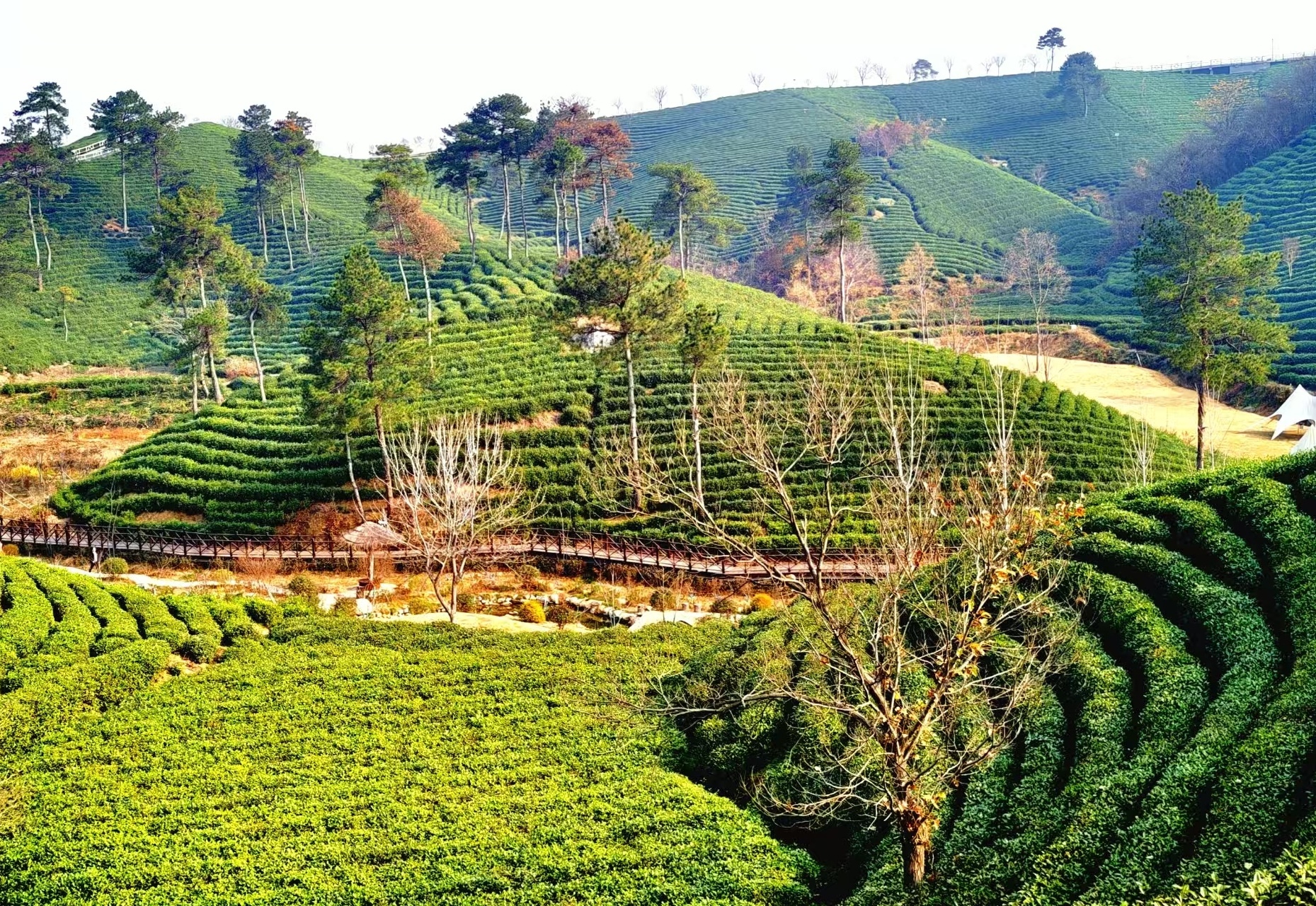 多单助手：抖音如何成为快乐源泉？探讨拒绝与接受短视频的两种生活态度