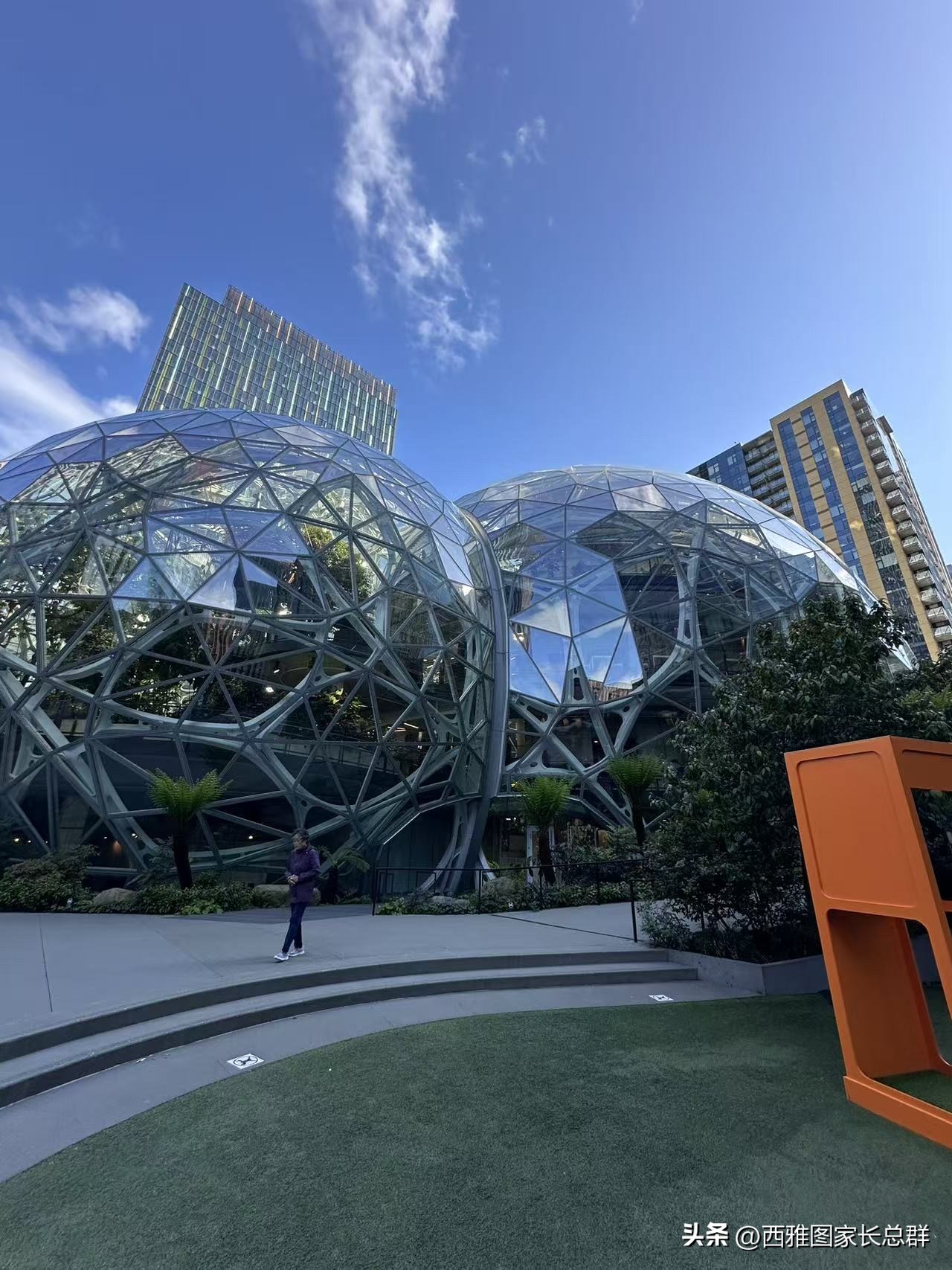 爆款助手：美国职场，本科生如何通过经验与能力逆袭成功？