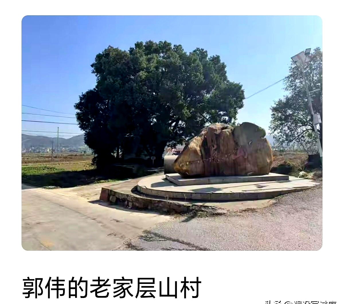 易出评：江西民间双杰，王林与郭伟的戏剧性人生与公众热议