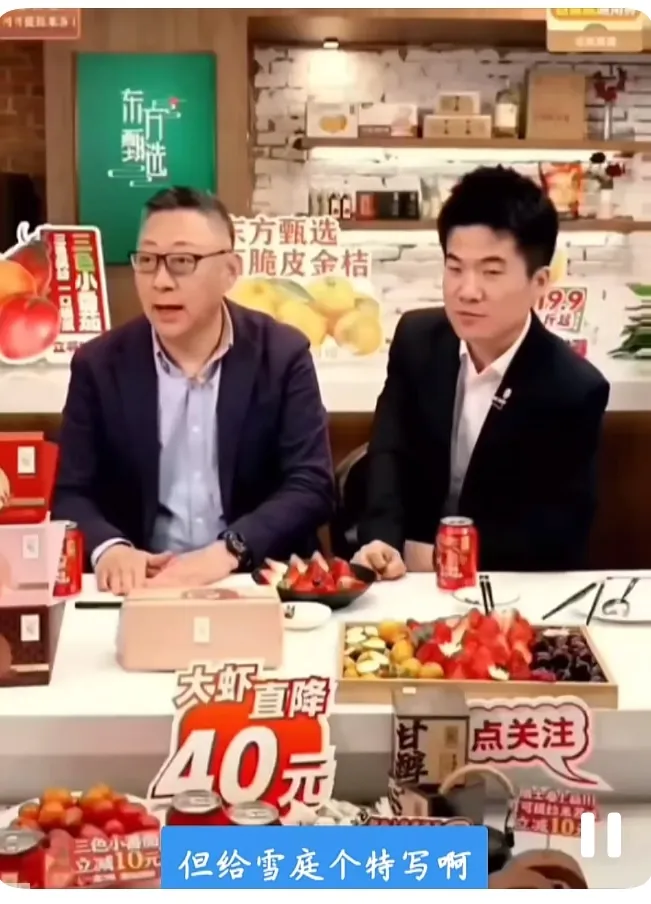 番茄助手：董宇辉与雪庭的离职故事，团队精神与资本运作的真实写照
