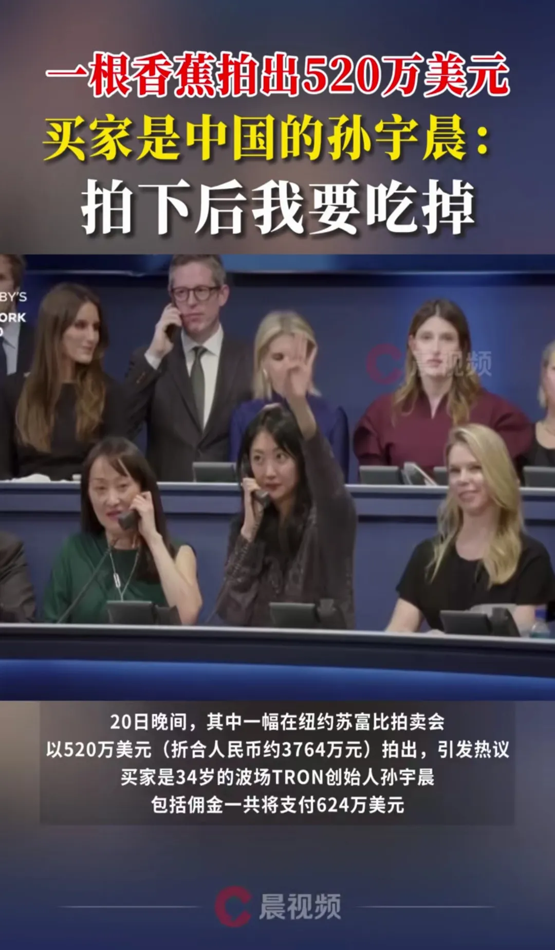 权重大师最新版本：孙宇晨拍香蕉引热议，520万美元背后的财富观与艺术价值探讨