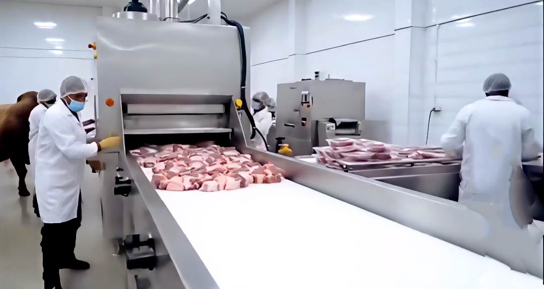 易出评：现代屠宰技术揭秘，“杀牛不见血”的创新与中国科技力量
