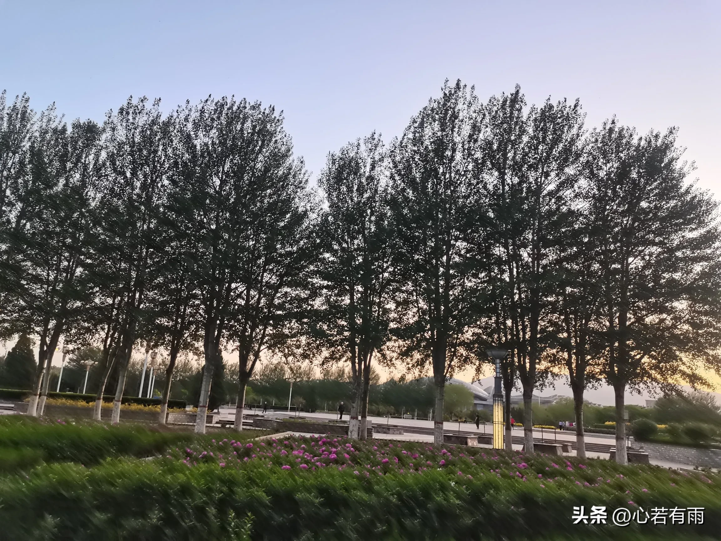 琦玉助手：网络直播带货崛起，实体店面临挑战，人际关系与经济的转变