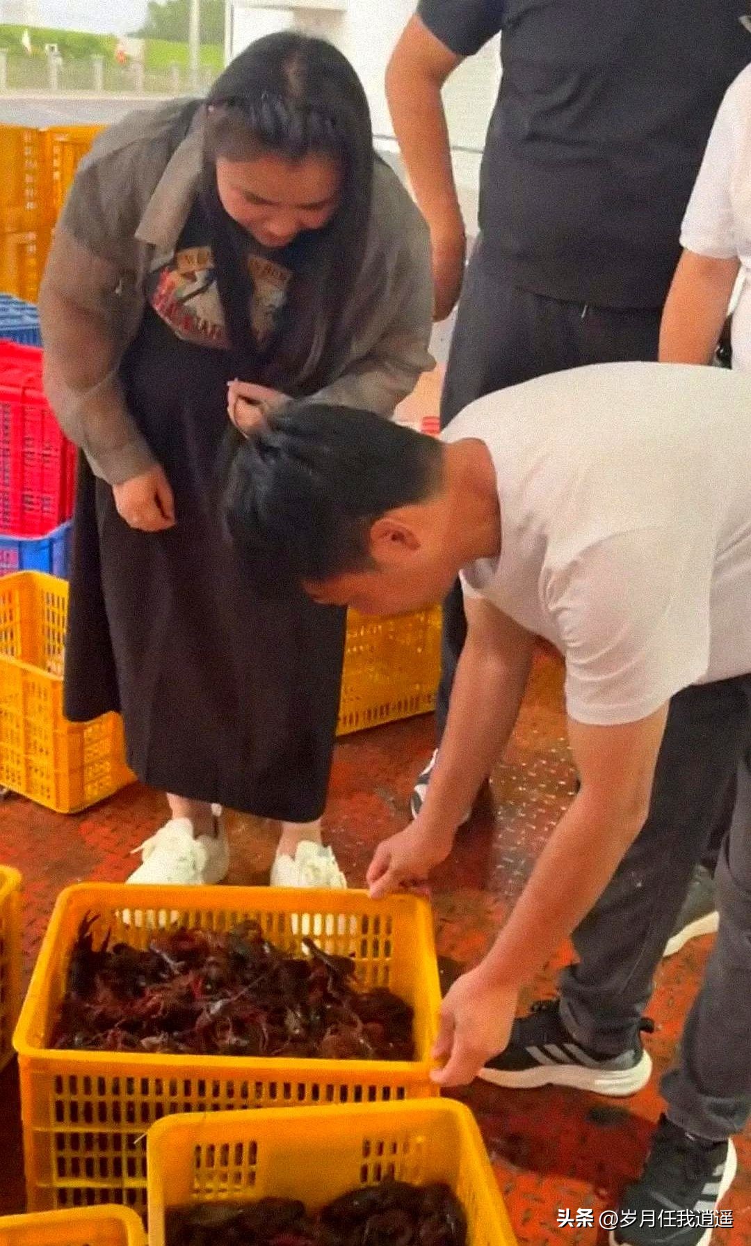潜力鸭：陈杨梅首场直播带货小龙虾，透明流程展现良心品质