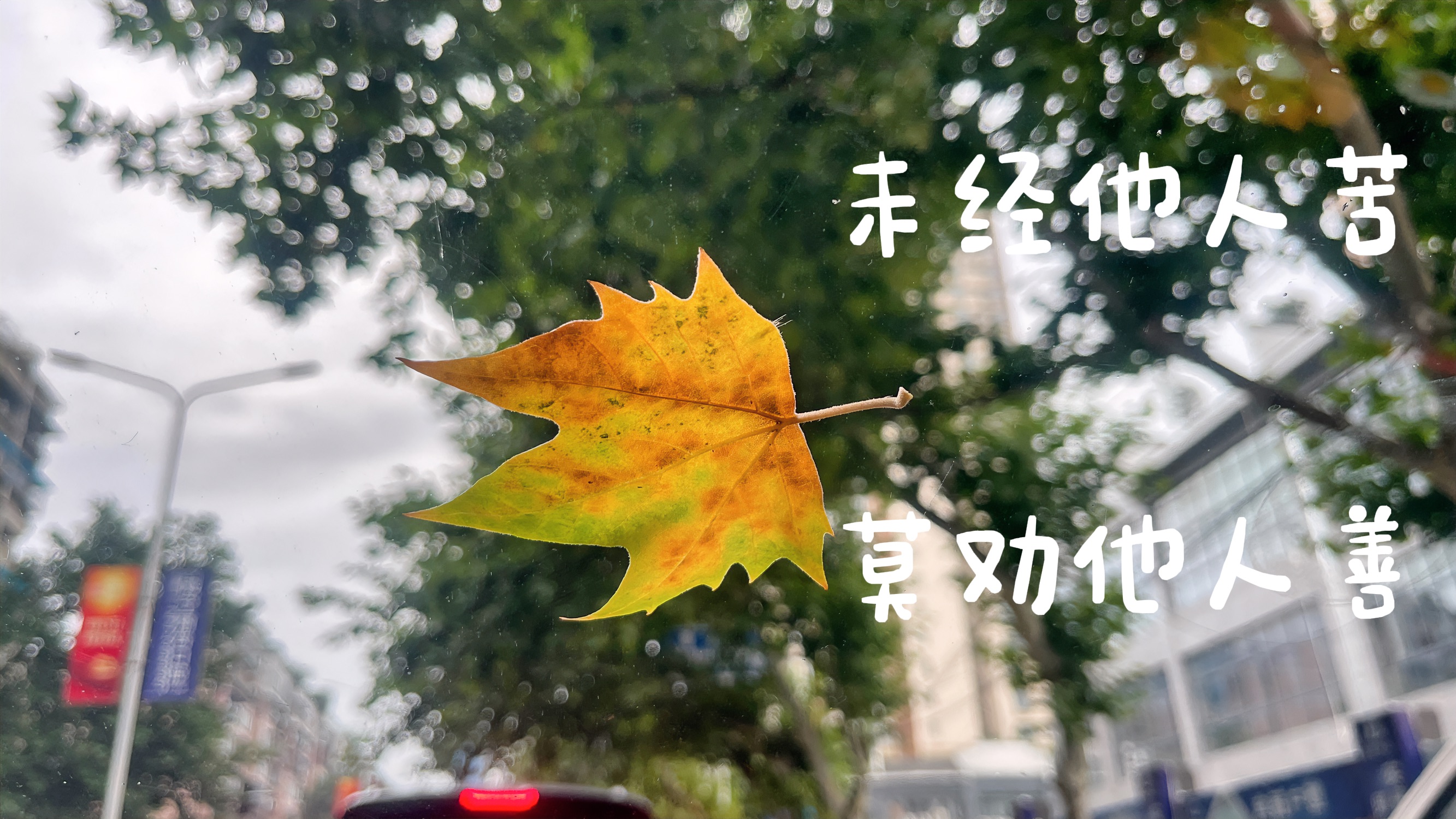 大牛助手网站：劝生二胎前，先问问她的艰辛与生活压力