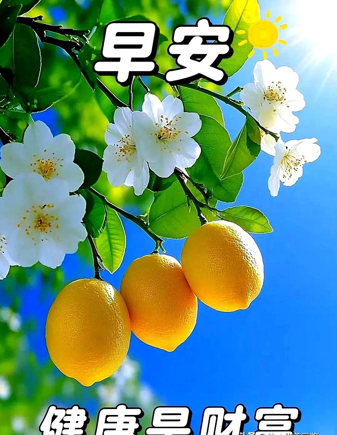 小G助手：朋友圈的“早安”祝福，温暖还是机械？让我们重新定义情感连接