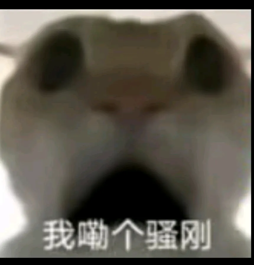 易单助手拼多多：借钱投资基金的风险与理财建议，慎重决策才是关键