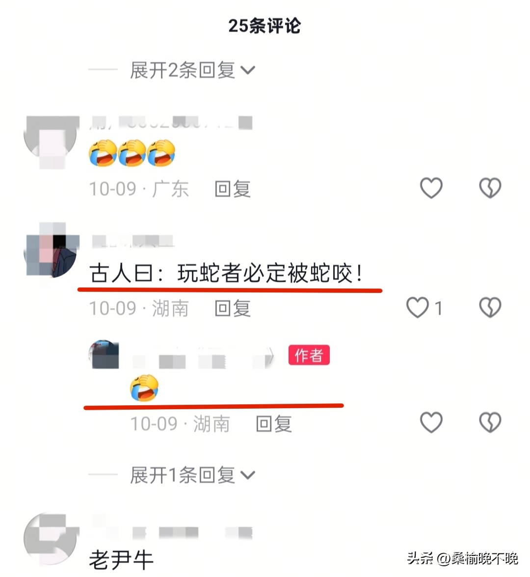 超评助手官网：湖南网红老尹被银环蛇咬后失联，网友早有提醒却未听从
