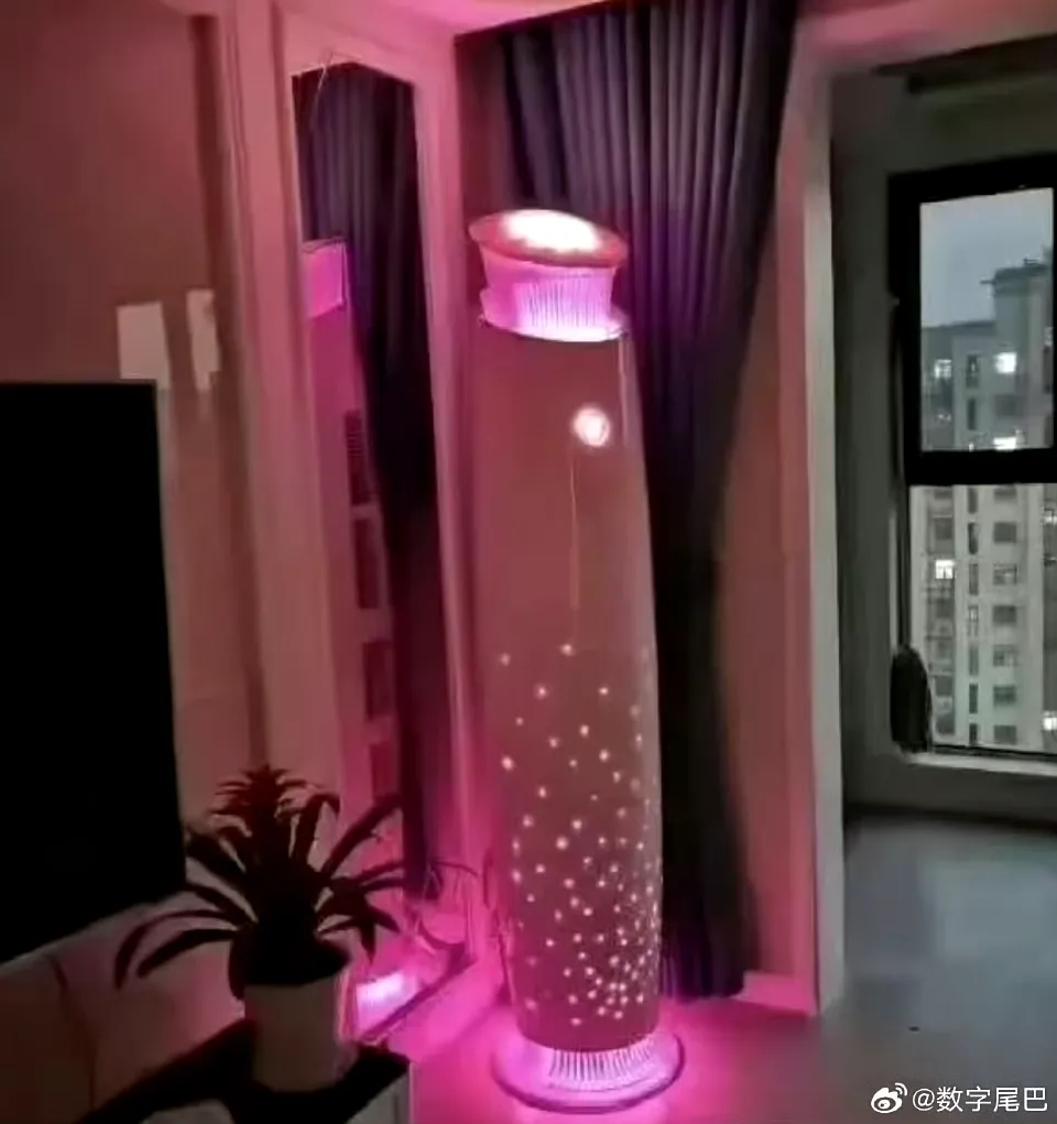 小评评助手下载：董明珠的玫瑰空调被群嘲，权力与真话的冲突引发反思