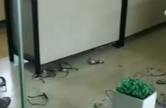 易出评入口：长沙老实人遭房东疯狂涨租，怒退租引发一系列闹剧！