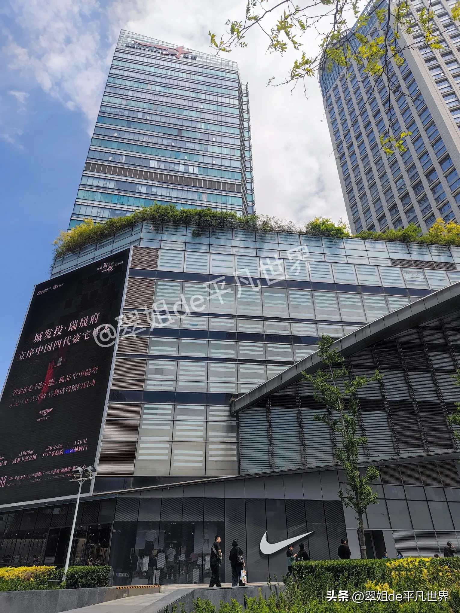 小Q助手使用方法：盒马鲜生首店落户石家庄，引领超市市场新潮流！