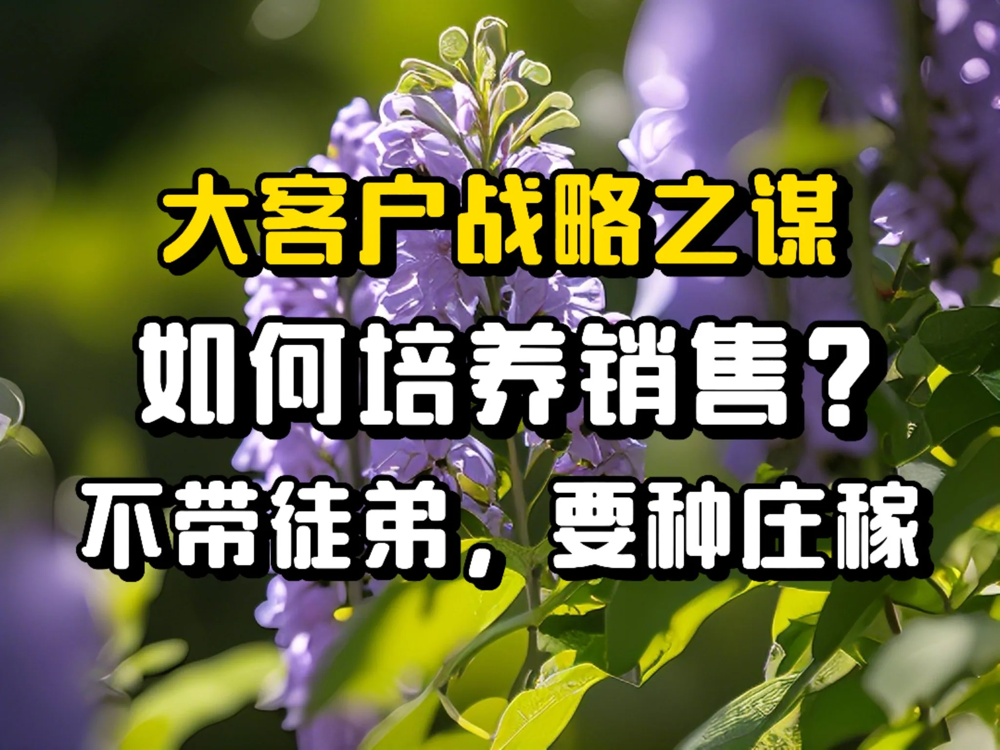 依云助手：如何培养销售技能，助力大客户开发与关系维护？