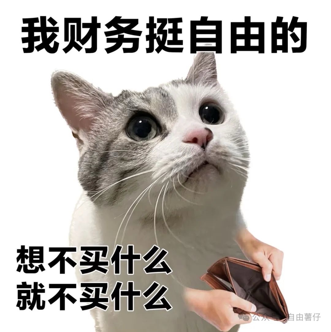 店销多多小号：拒绝消费主义诱惑，守住钱包的实用省钱技巧与生活智慧