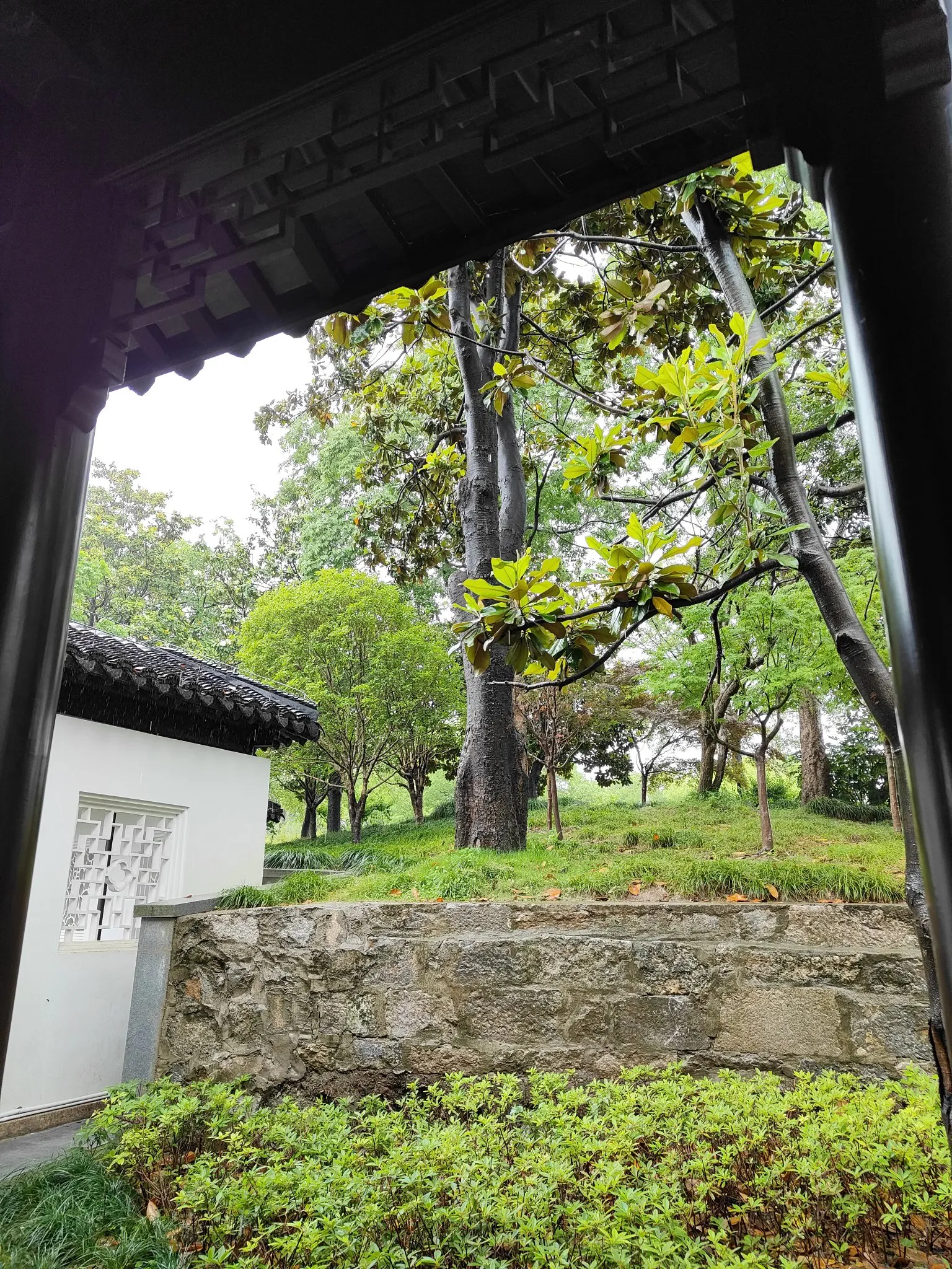 番茄助手：海光信息与中科曙光合并，股价前景分析及市场反应探讨