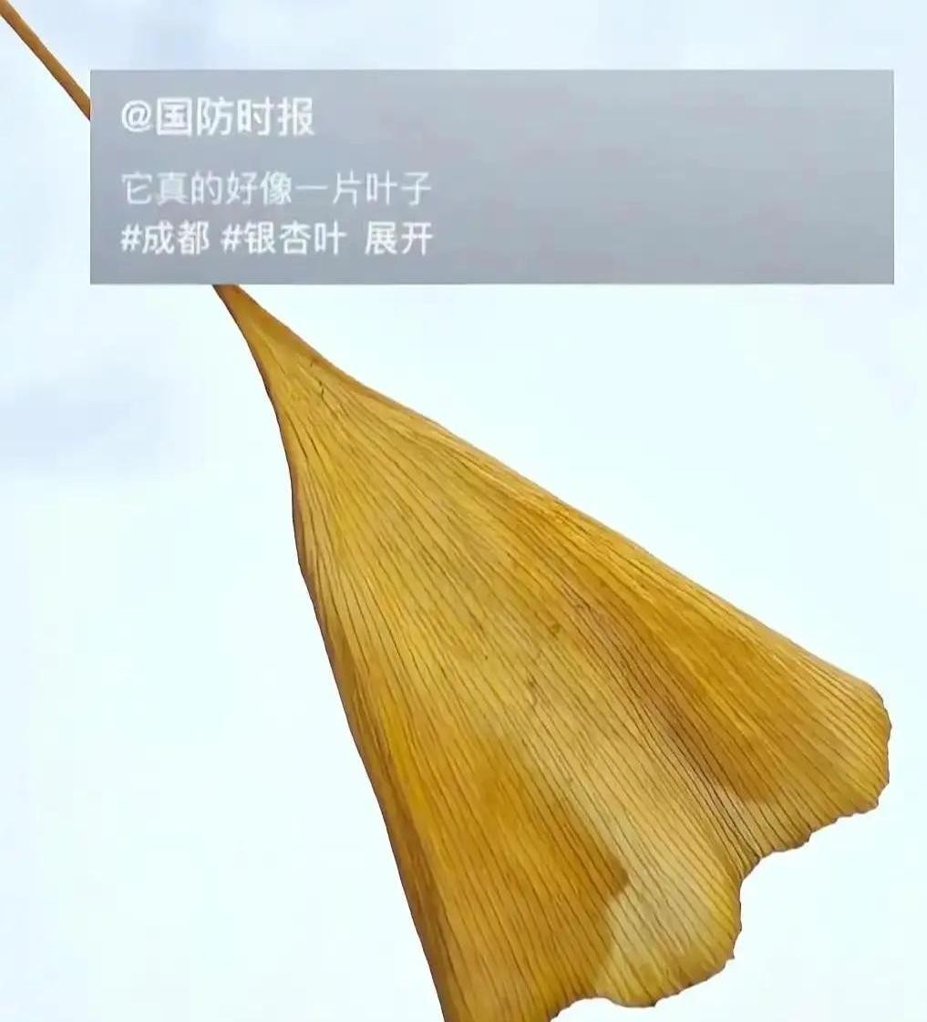 快火助手：中美产业对比，六代战机试飞与沃尔玛廉价T恤的背后真相