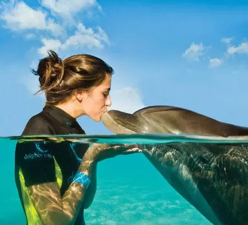 优选助手：海洋AI技术突破！谷歌发布DolphinGemma可实时翻译海豚语言