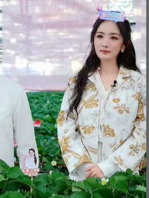 权重大师补单软件：演员周一围开店与徐僧务农，影视圈生存多样化的真实写照