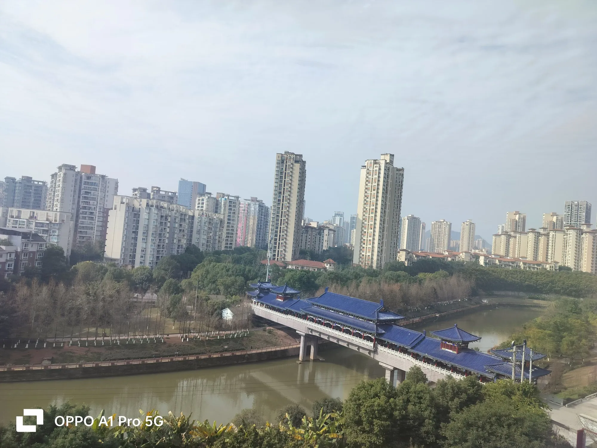 多多留评app：重庆GDP超广州，税收与转移支付引热议，发展背后的深层原因解析