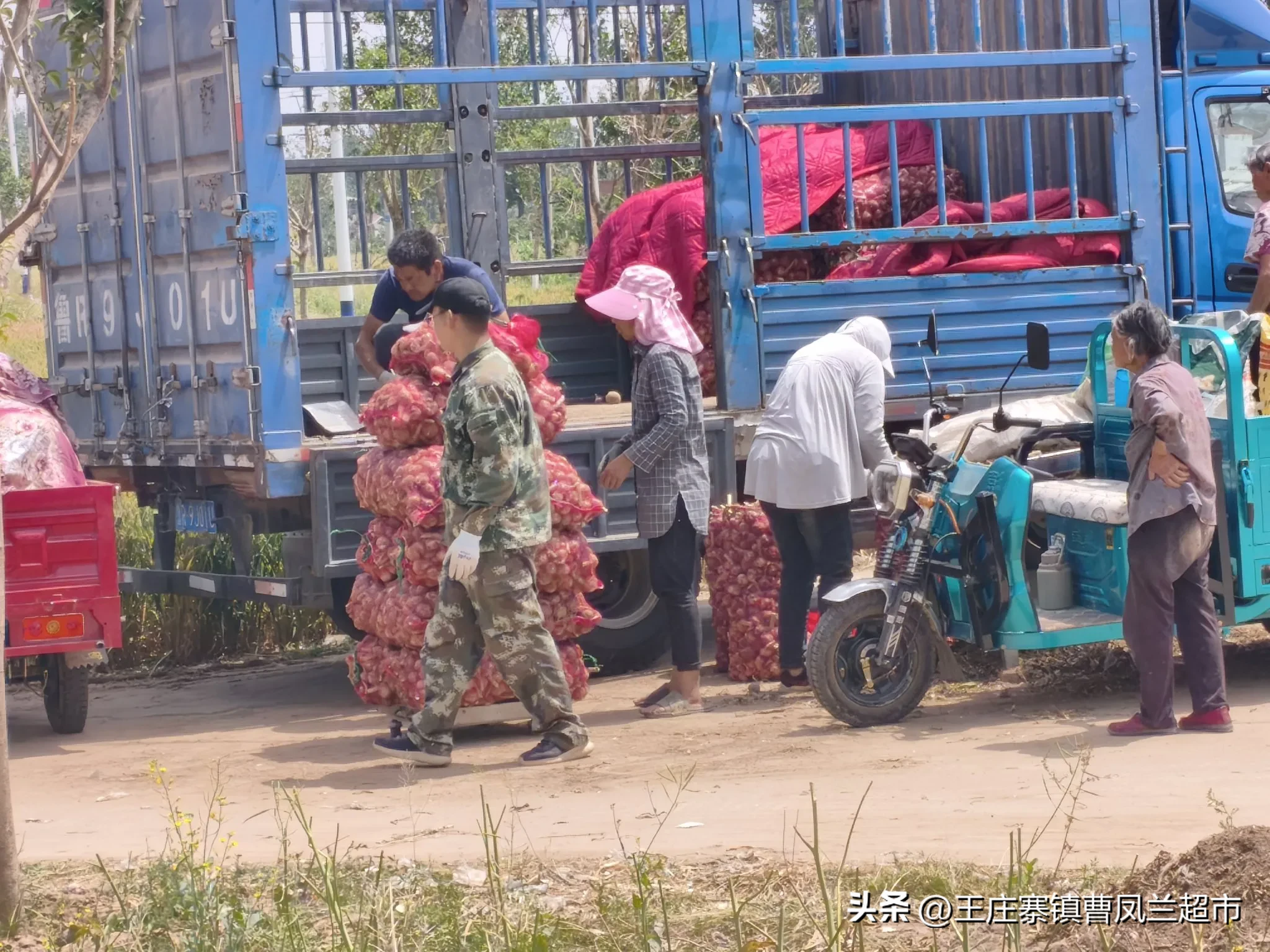 权重大师怎么用：大蒜价格波动分析，如何影响蒜农收入与消费者购买决策