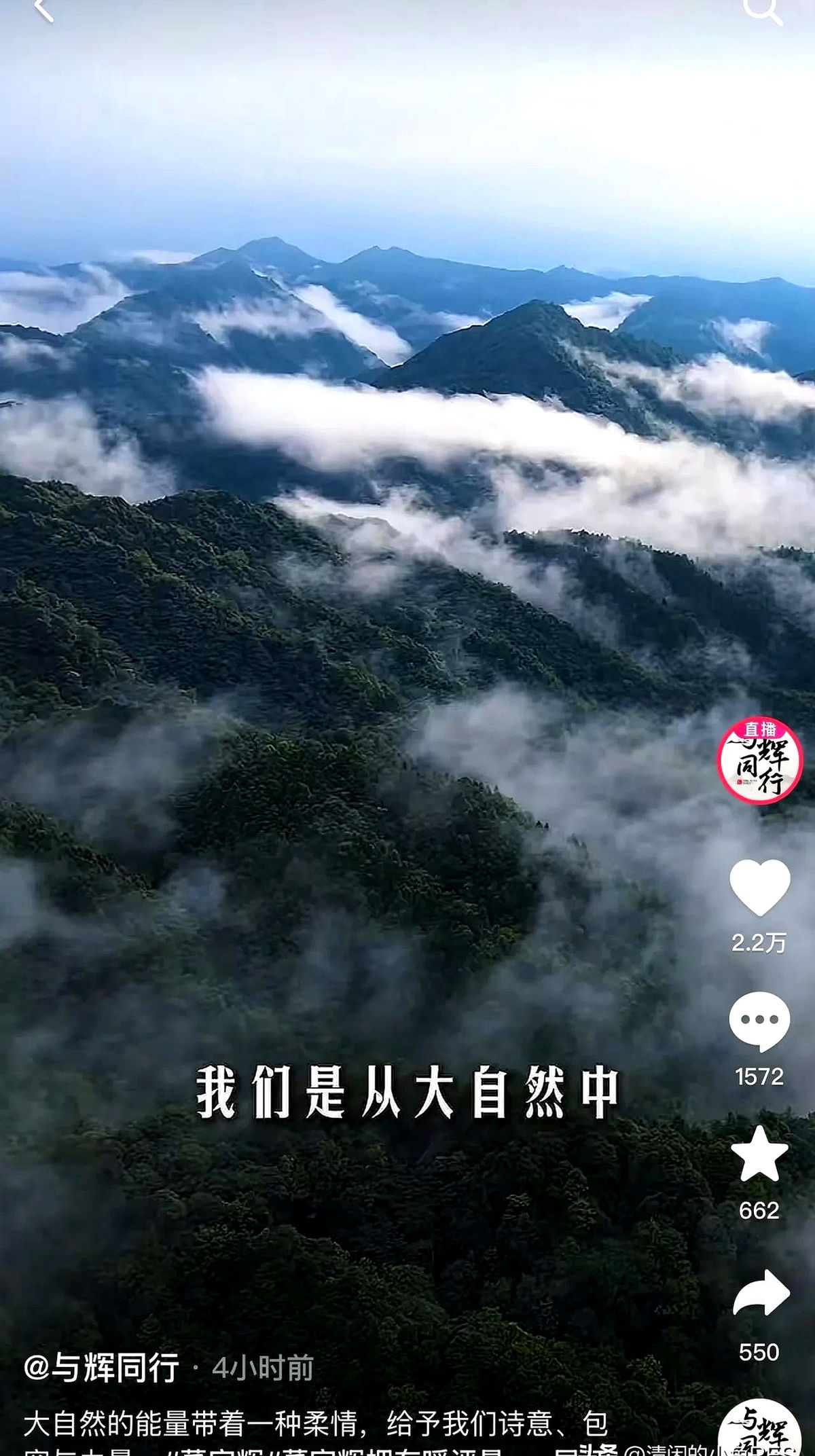 琦玉助手：董宇辉广西之行引热议，粉丝对“陪伴感”的渴望与情感交易