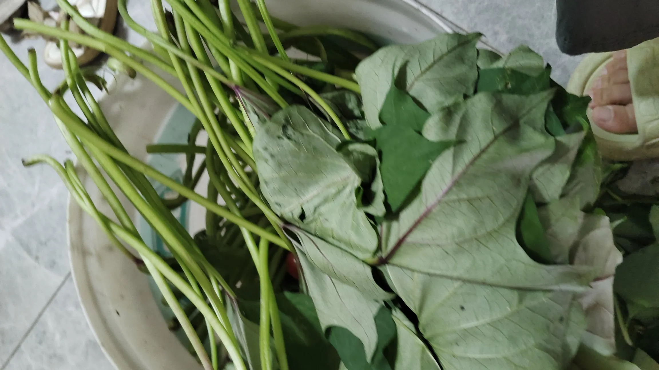 番茄助手官网：年轻人为何更青睐超市而非菜市场？探讨购物习惯与选择原因