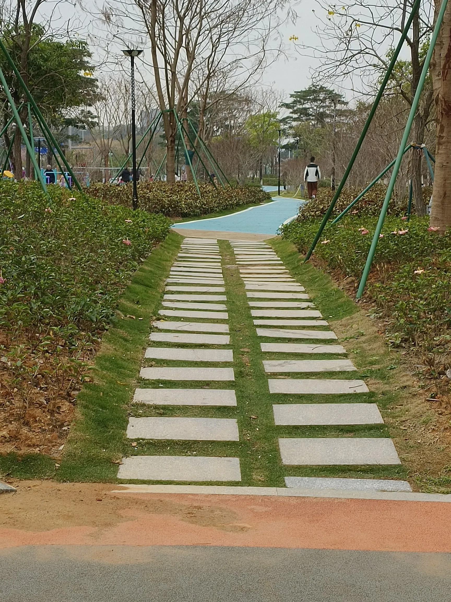 新小x助手：学历与能力在职业发展中的平衡，成功的关键因素解析