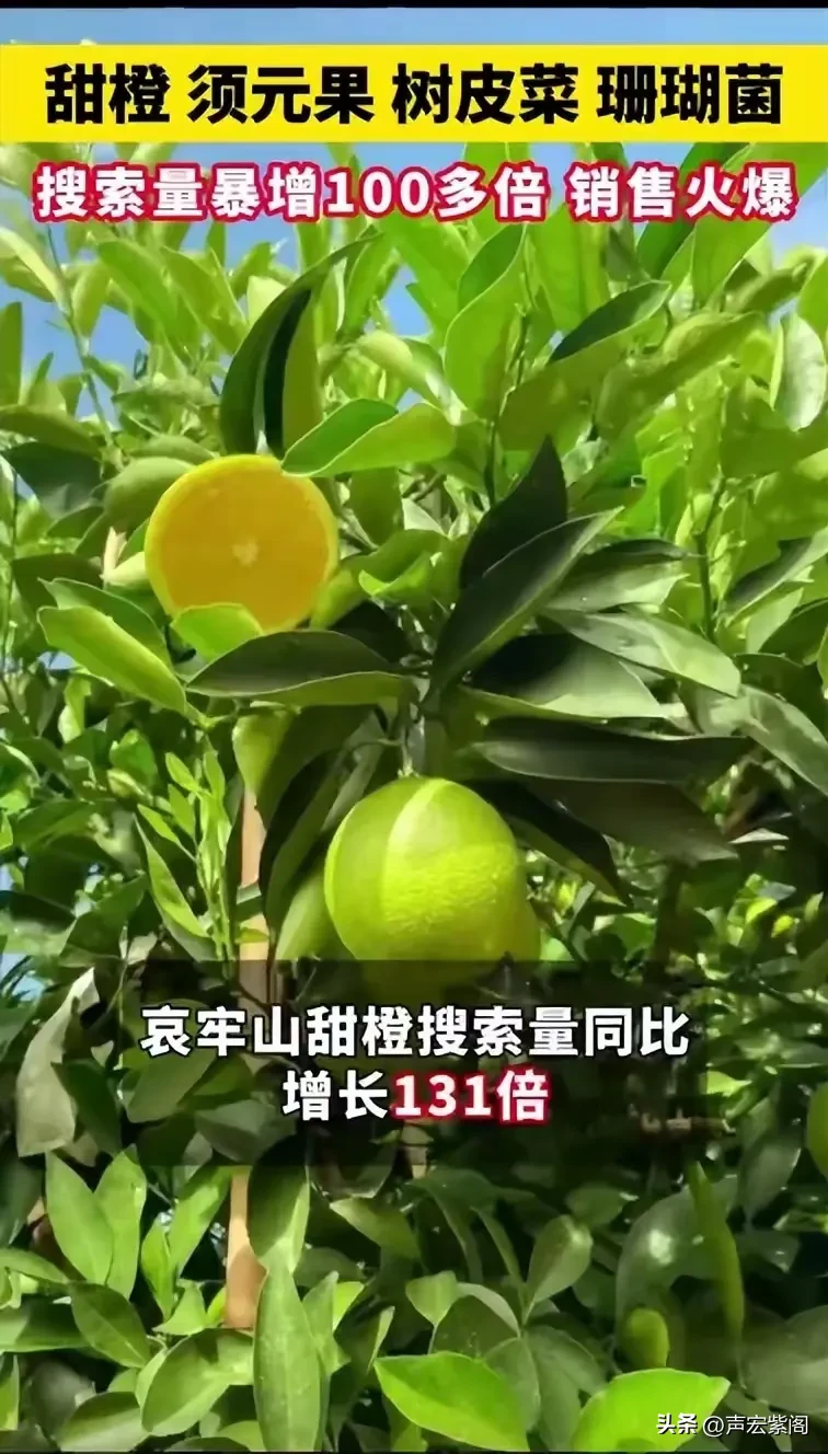 小G助手邀请码：探索神秘哀牢山，禁区特产大揭秘与国庆热潮