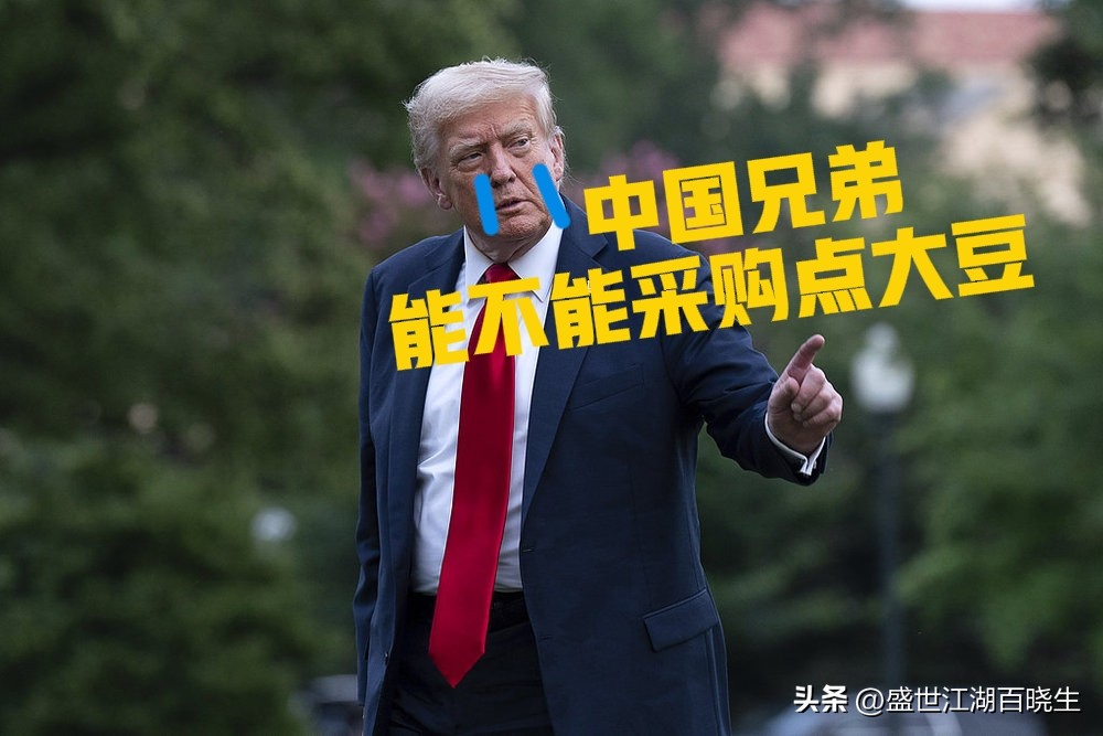 Y助手：美国大豆出口受阻，种植户愁云惨淡，市场转向何方？