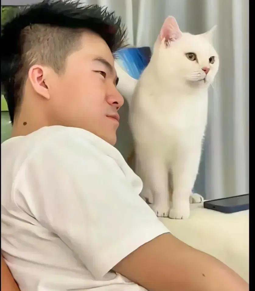 易出评卡密：易中天、俞敏洪与董宇辉，一场关于友情与选择的轻松对话