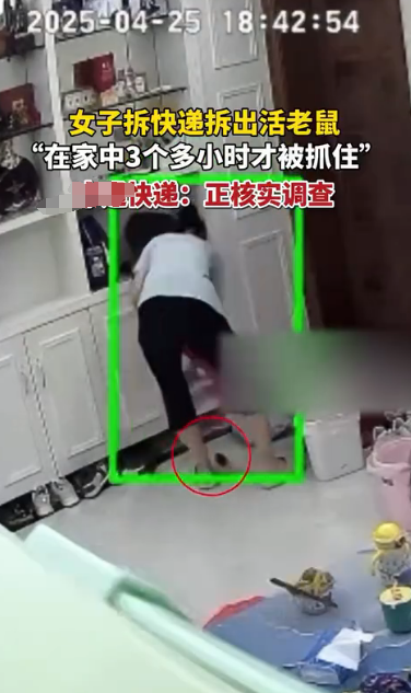 超评助手：女子网购连衣裙竟拆出活老鼠，快递责任引发热议与消费者不满