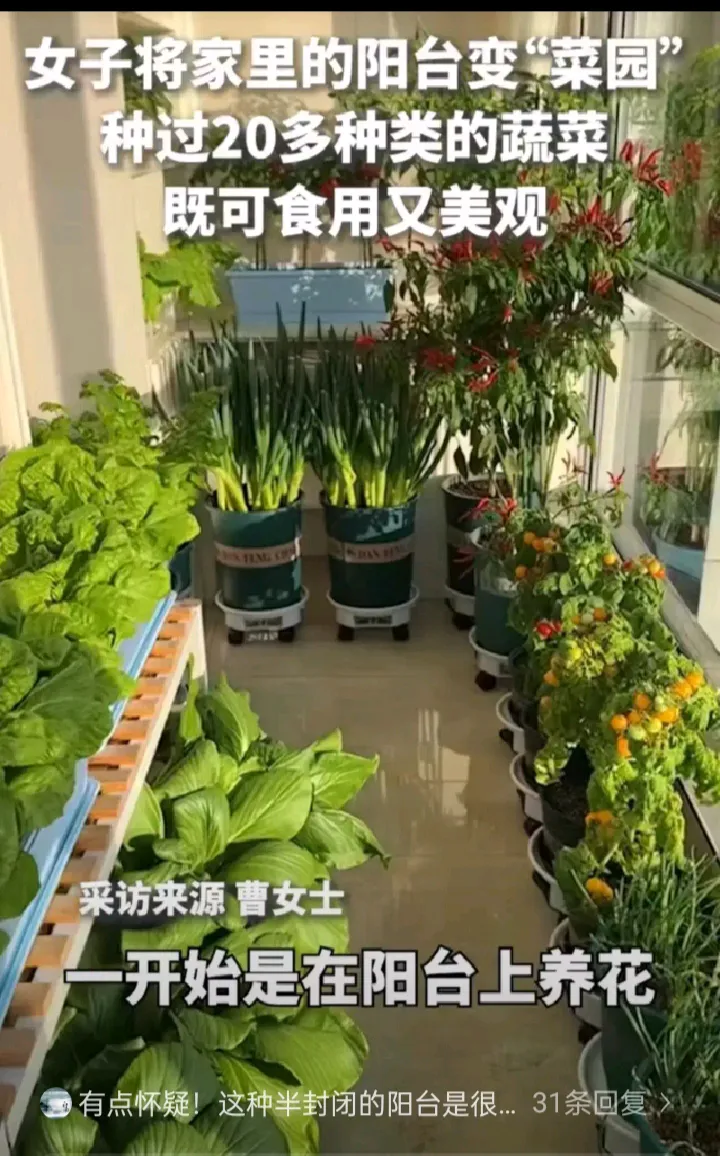 番茄管家邀请码：阳台种菜逆袭物价，从青椒到西瓜的生活革命