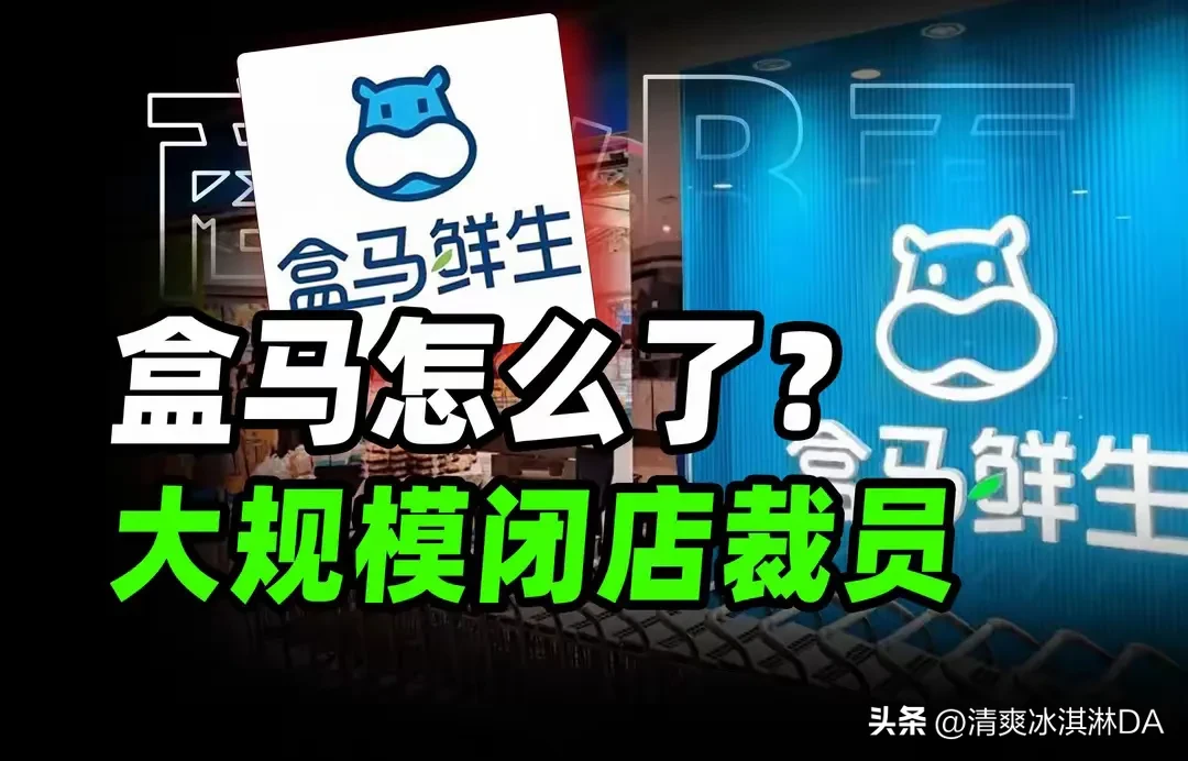 51助手软件：盒马鲜生九年烧钱扩张后困境重重，员工转临时工、消费者体验下滑