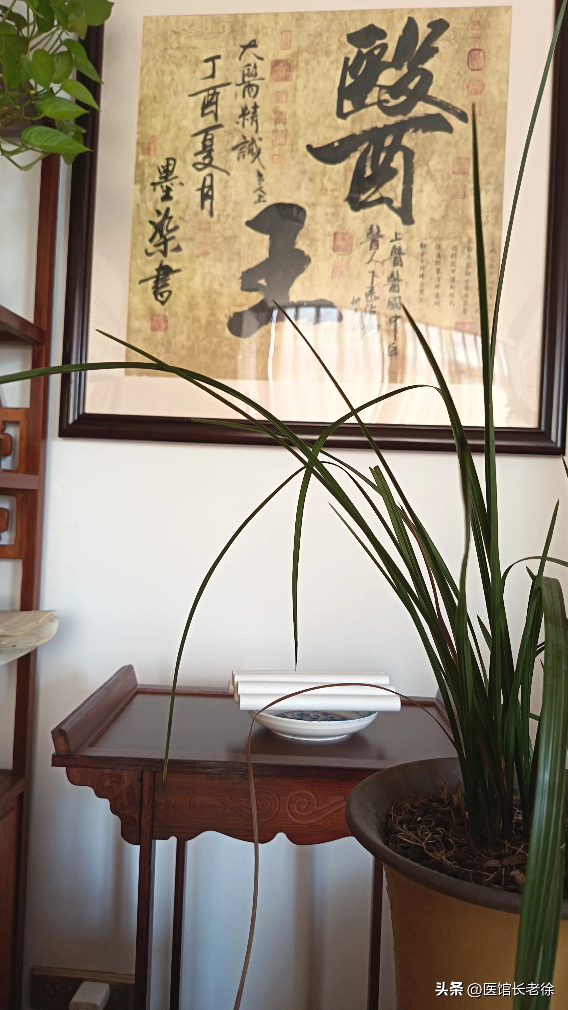 51助手开团软件：中医馆重组与发展，探索中医药复兴的关键路径和挑战