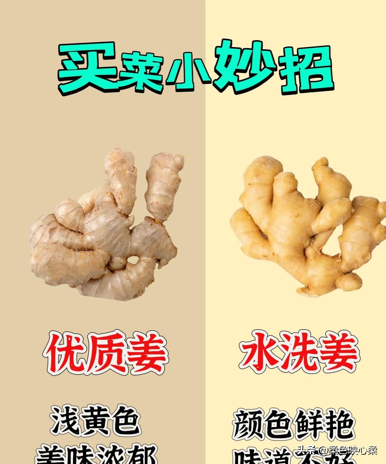 大麦助手下载官网：买菜技巧大揭秘，如何挑选新鲜食材与讨价还价的秘诀