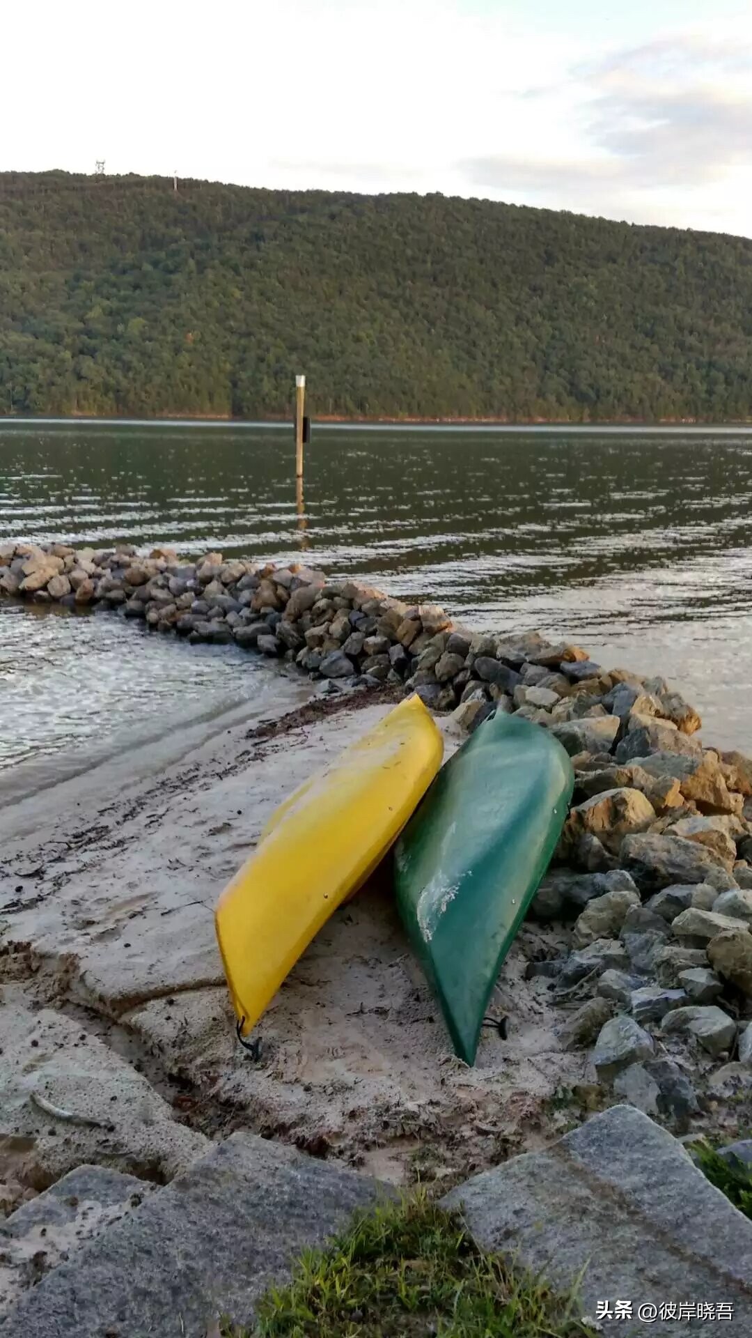 CC助手：头条机器人乱了阵脚，小外孙女的互动趣事与照片烦恼