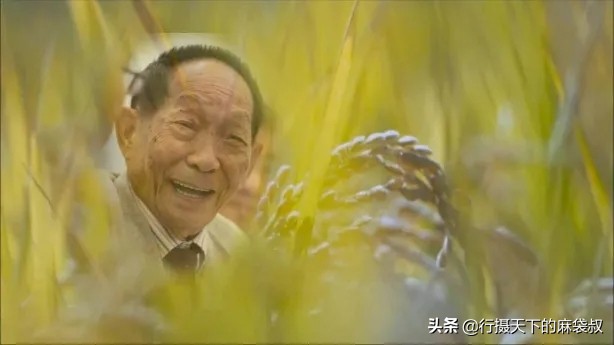 小评评助手开团软件：薇娅直播带货涉嫌侵权，山寨袁隆平海稻米引发舆论风波