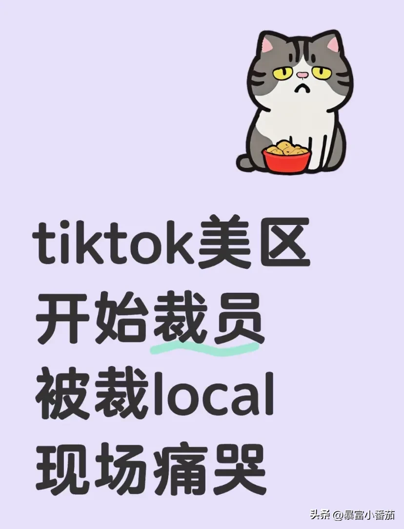 畅销助手：TikTok美国电商团队裁员背后的关税战与业务重组分析