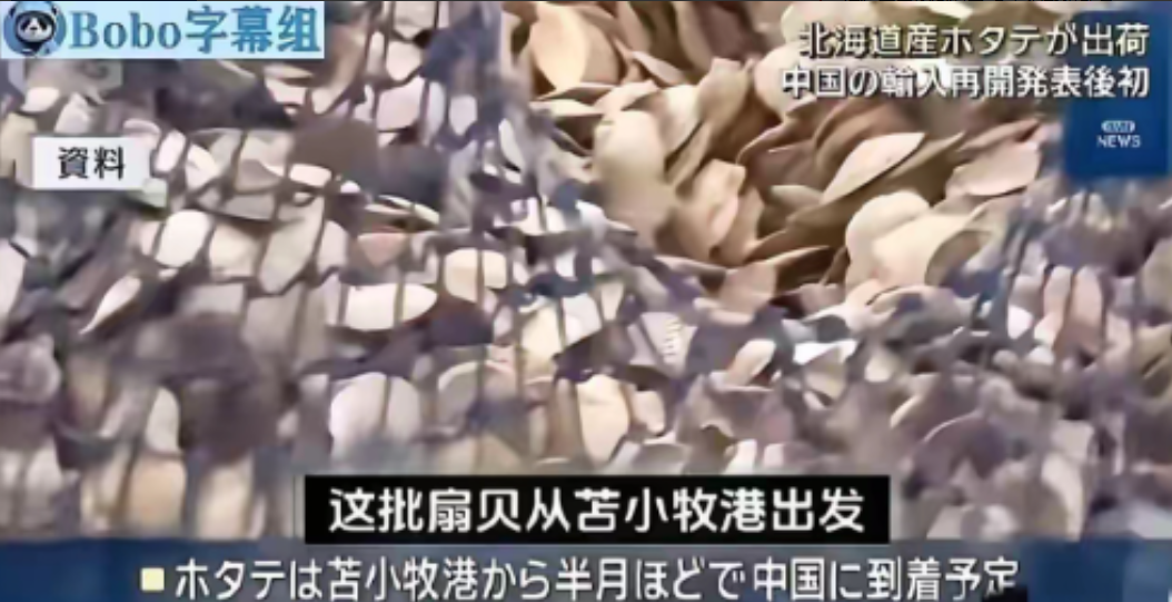 琦玉助手入口：日本海鲜“曲线入华”，北海道扇贝背后的风险与消费者信任危机