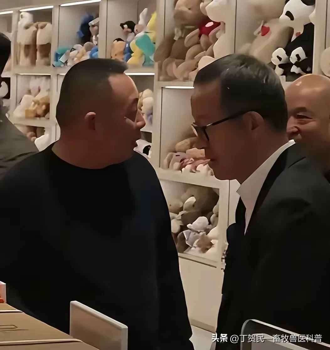 易单助手下载：良心企业家为何屡遭无端攻击？胖东来与东方甄选的品质坚守之路