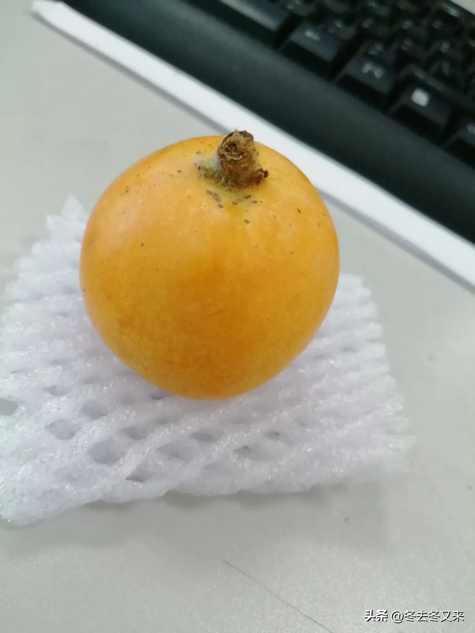 小Q助手使用方法：枇杷选购指南，如何识别商家诚信与果品质量