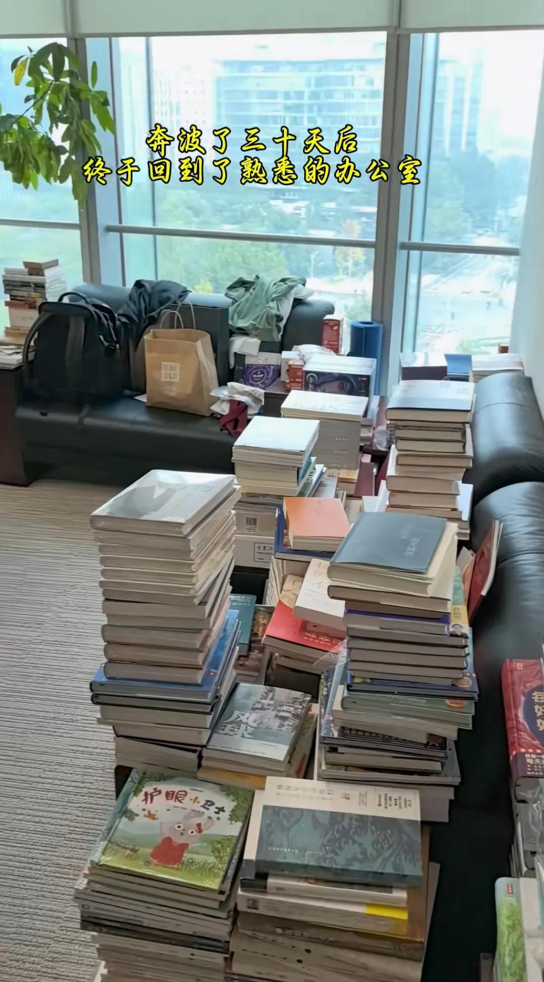 权重大师出评软件：俞敏洪的办公室，知识堆砌出的真正豪华与气派