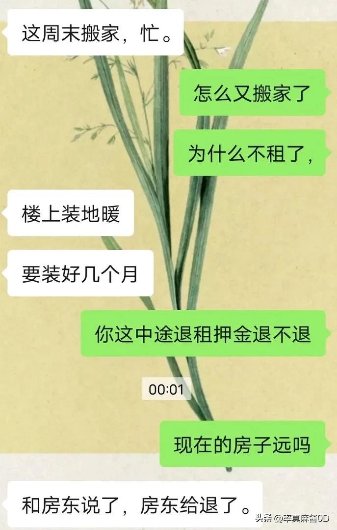 熊猫多多助手：丫头买东西遭盒马误扔，生活不易，过年回家陪孩子成期待