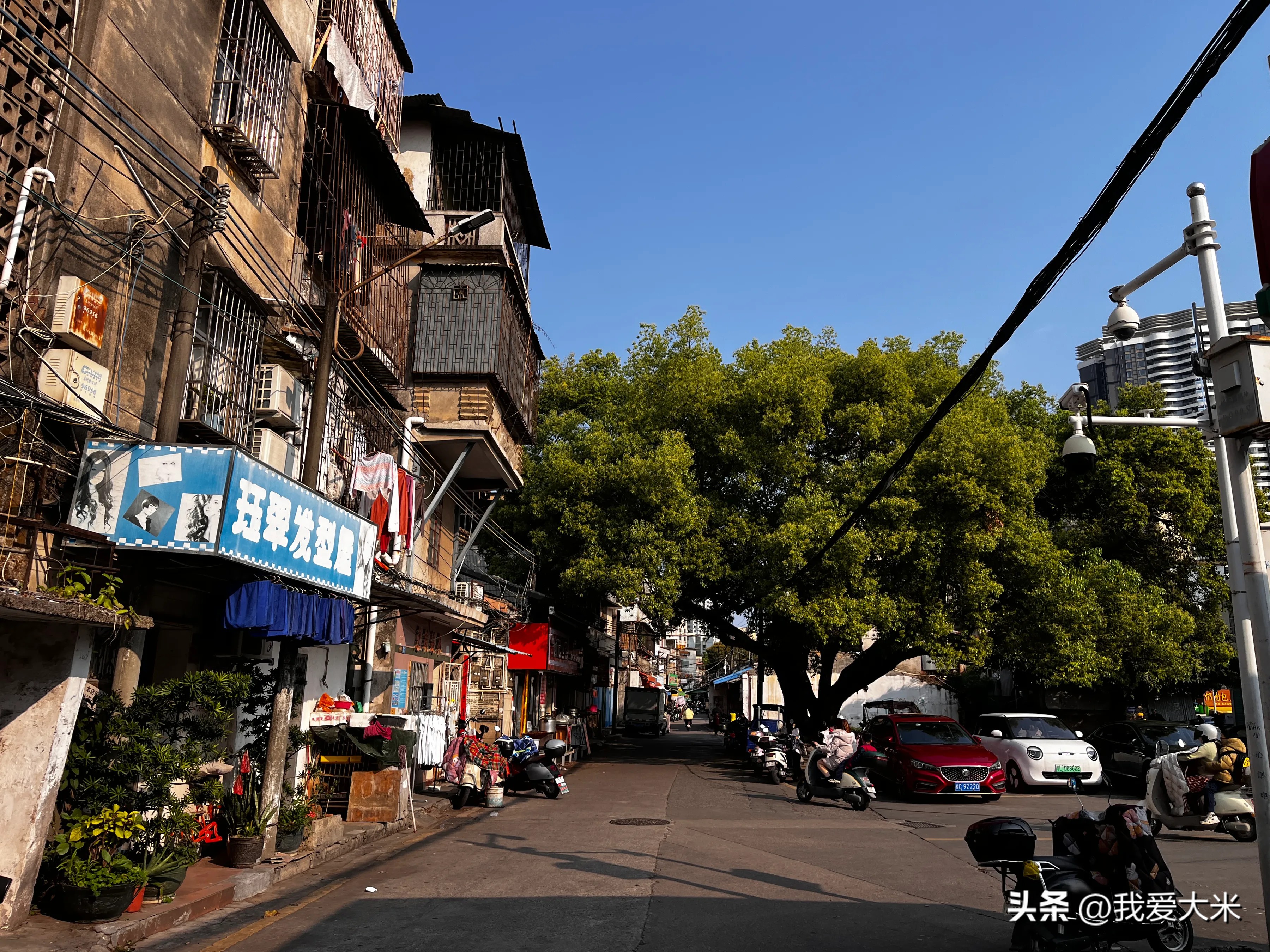 小Z助手：惠州老字号“惠康汤粉店”，隐藏小巷中的美味与历史