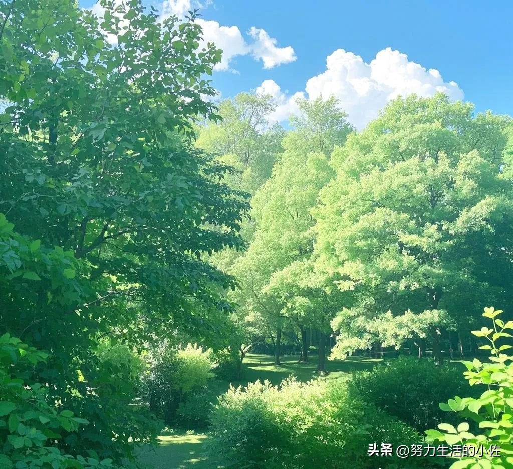 超单助手网站：自学电商运营，2025年起步仍不晚，抓住机遇成就未来！