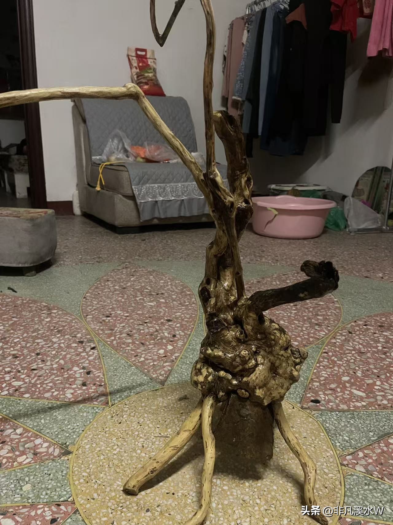 易单助手:追寻内心的快乐与人生意义,老乡挖黄荆的生活启示 易单助手:追寻内心的快乐与人生意义,老乡挖黄荆的生活启示