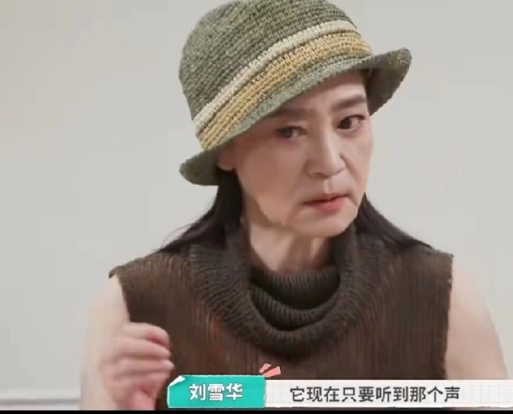 小Q助手小号：73岁刘雪华，与数字时代脱节的生活困境，如何重拾主动权？