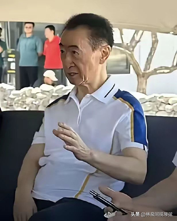 熊猫多多助手：王健林，71岁仍奋战商海，责任感成企业家最珍贵品质