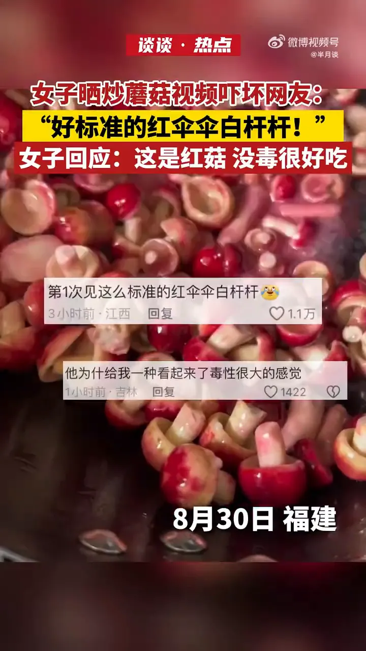 畅销助手软件官网：福建美女自制“红伞伞”美食，美味与毒素的潜在危机警示