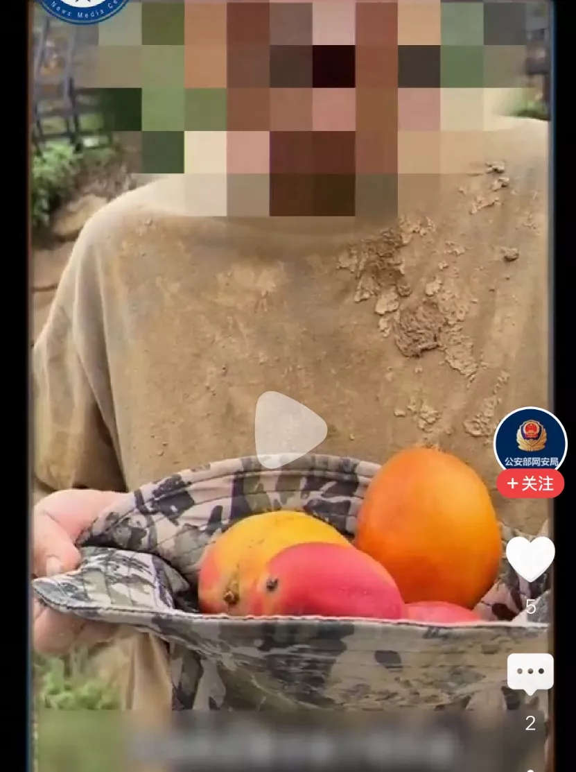 要火助手：网红直播卖惨套路曝光，百万粉丝背后的骗局与揭露