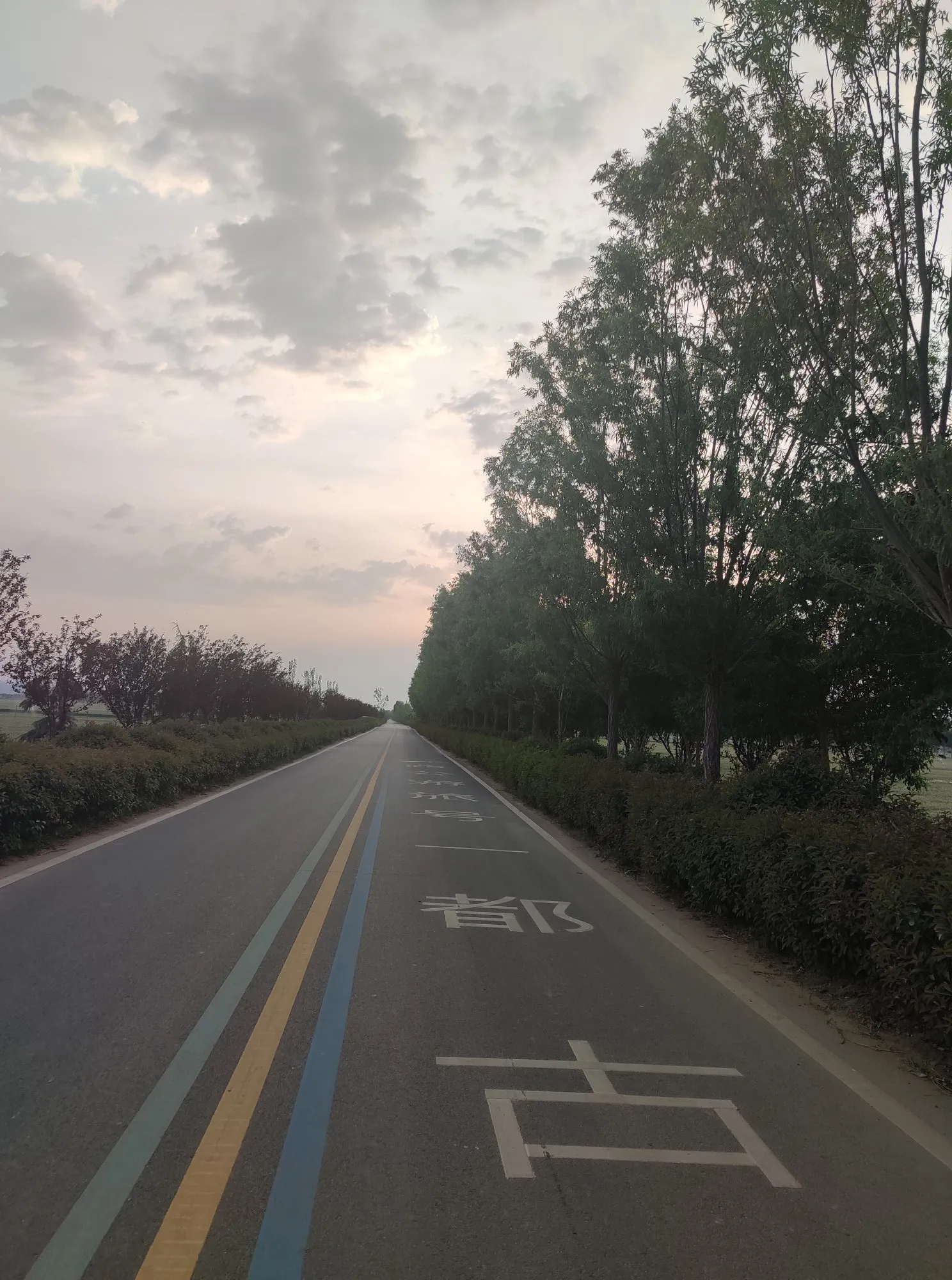多多留评软件：主动营销与市场成功，从白象到金合盛的实战经验分享